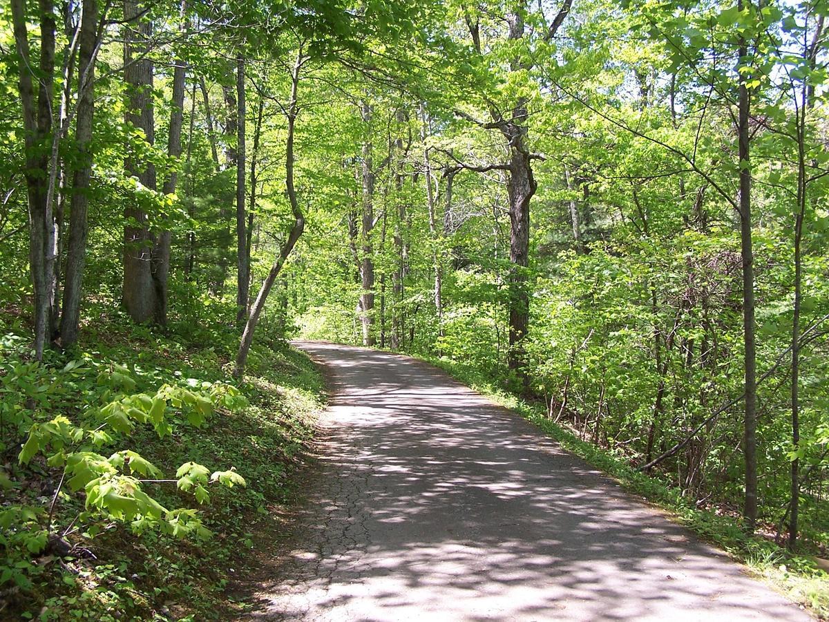 Lyndhurst Cabin Creekwood מראה חיצוני תמונה